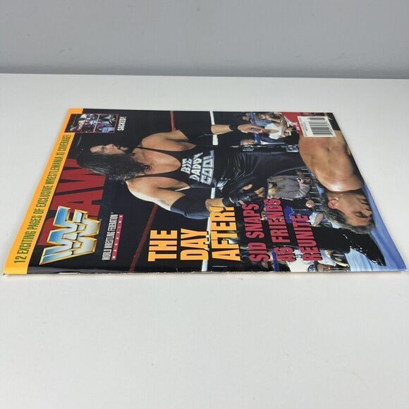 WWF Magazine Diesel & Shawn Michaels June 1995 WWE WWF Kevin Nash With Cards! - Picture 2 of 7